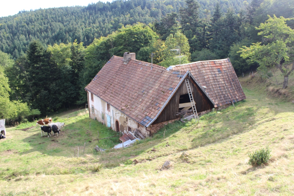 Une ferme à la Bassette - Labaroche (2)